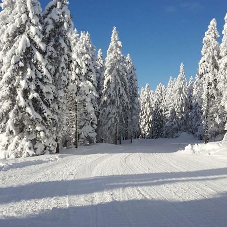 Appartamento Rogla App Jerebika 11 Zreče Esterno foto