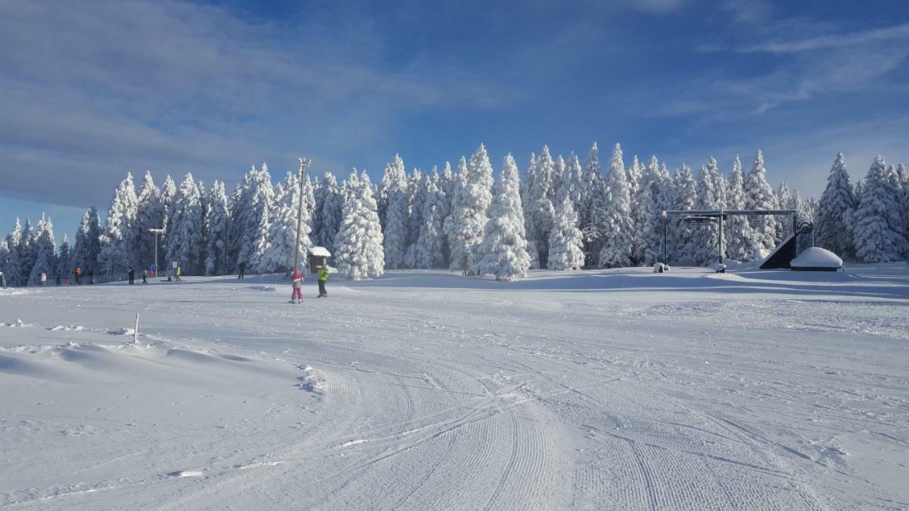 Appartamento Rogla App Jerebika 11 Zreče Esterno foto