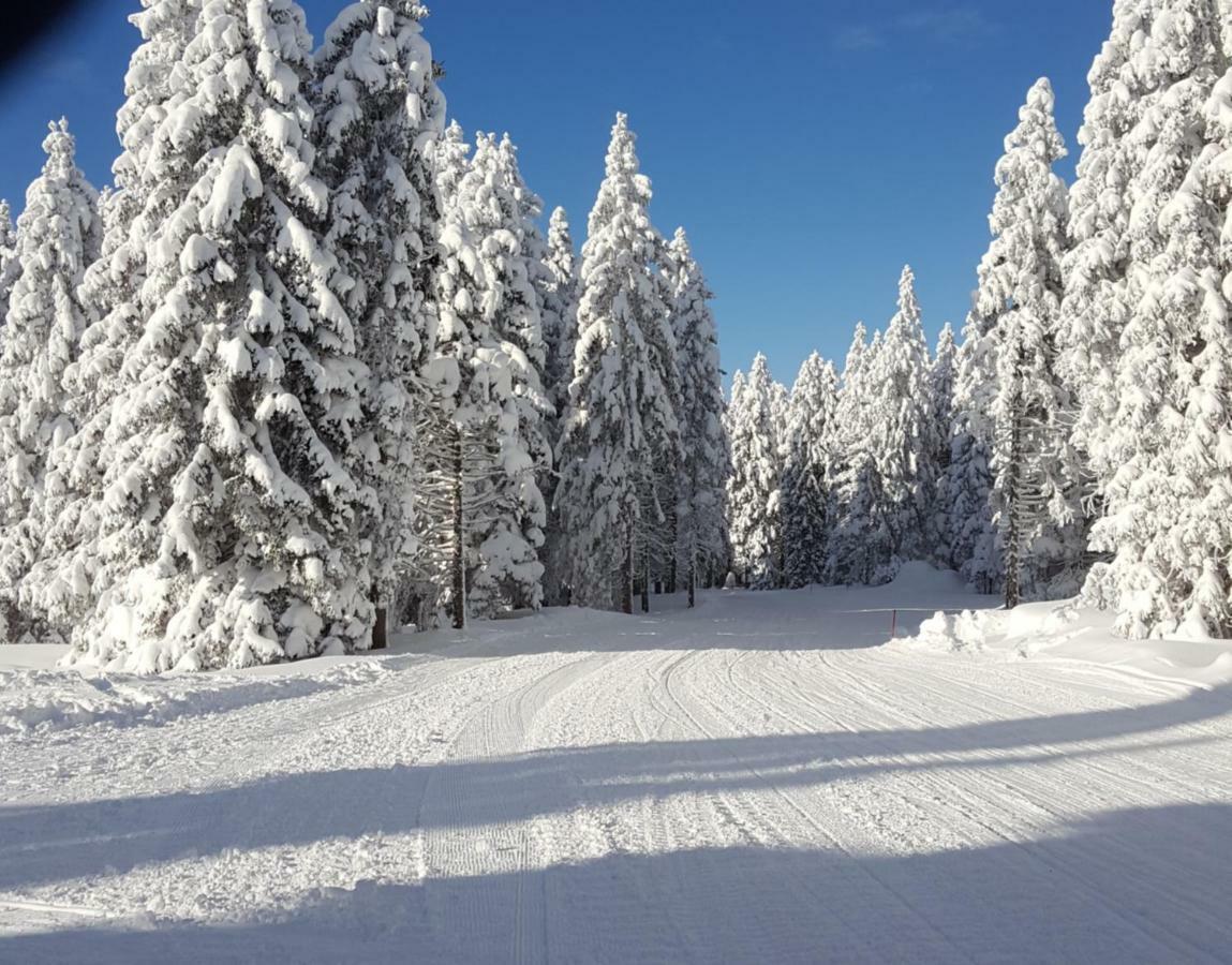 Appartamento Rogla App Jerebika 11 Zreče Esterno foto